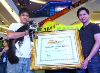 Somporn Naksuetrong (right), vice president of the Royal Garden Plaza & Entertainment, presents the first prize certificate for the cat with the longest tail to Cookie, a Maine Coon Cat with a 37 cm long tail.